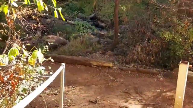 Сад по истории Библии #сад #природа #цветник #красивыеместа #калифорния #цветы #речка