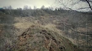 стихи Леонида Корнилова  Опасные   Бродячий пёс