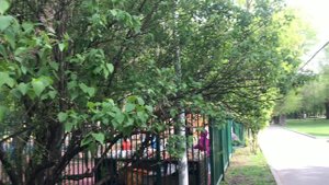 Москва. Красногвардейские пруды