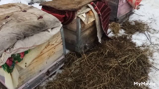 Верный признак скорой гибели семей.Что сделал я.Март 2023. смотреть онлайн