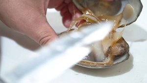 как вскрывать спизулу