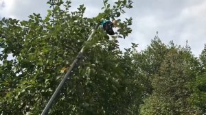 Плодосъемник Gardena