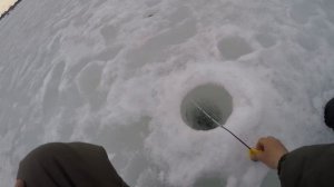 Рыбалка в Томской области.Закрытие зимнего сезона на реке Томь,село Моряковка