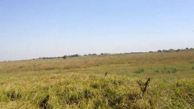 19_02 Узяк [ООО ЛидерЮг] смотреть онлайн