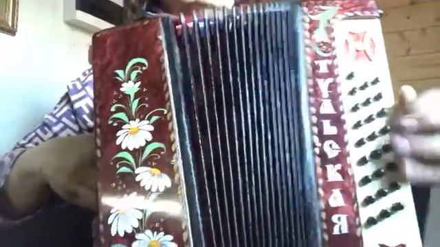 гармонь тульская 301 м