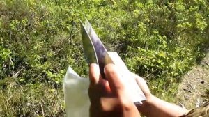 По каналам к морю сплавом  Беломоро- Балтийский канал