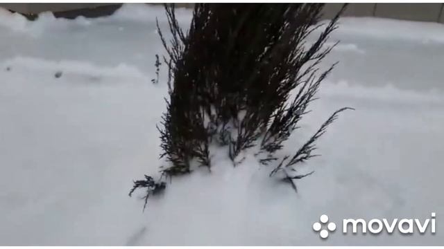 Холодно.Зима пришла.Прогулка с внучкой.