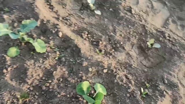 ВЛОГ. 11 июня 2022 г. смотреть онлайн