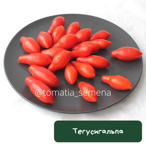 Тегусигальпа
