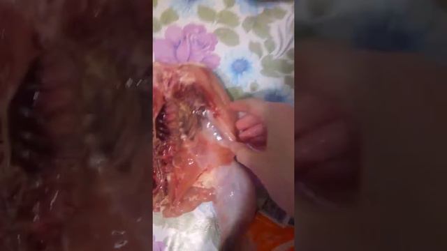 Курица равис травитесь люди