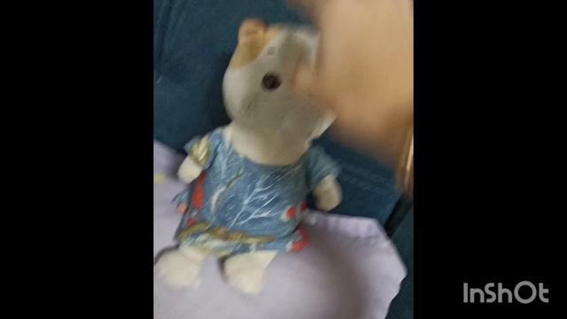 Наш утренний влог🪻🌞🐶🐱