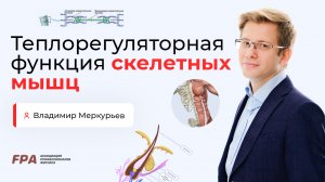 Теплорегуляторная функция скелетных мышц | Владимир Меркурьев (FPA)