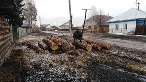 Как перевезти большое бревно, моя тележка для перевозки брёвен