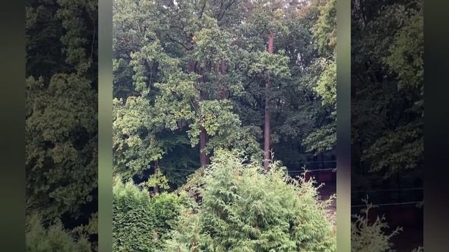 2 месяца в Центре медицинской реабилитации смотреть онлайн