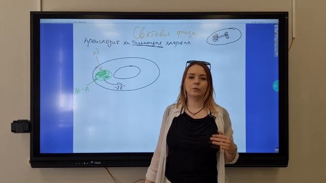 Фотосинтез. Световая Фаза смотреть онлайн