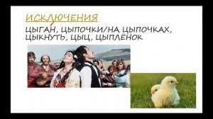 ЗАДАНИЕ 5 ОГЭ: правописание гласных а/я, и/ы, у/ю после шипящих и ц.