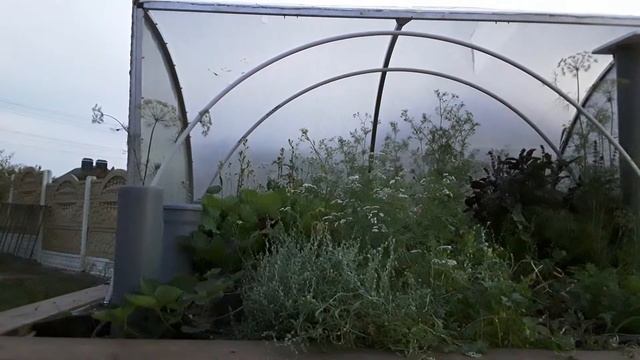 Высокая теплая грядка и вертикальная теплица. смотреть онлайн