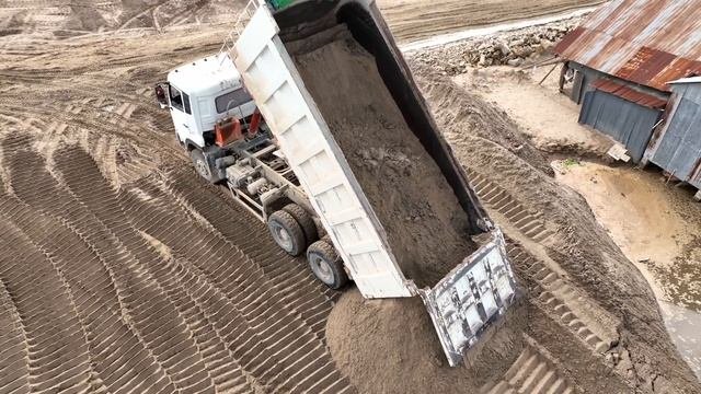 Bulldozer SHANTUI Push Soil Sand With Excavator KOBELCO Fores  Tree