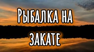 Рыбалка на закате | Микроджиг на лесном озере | Окуньки