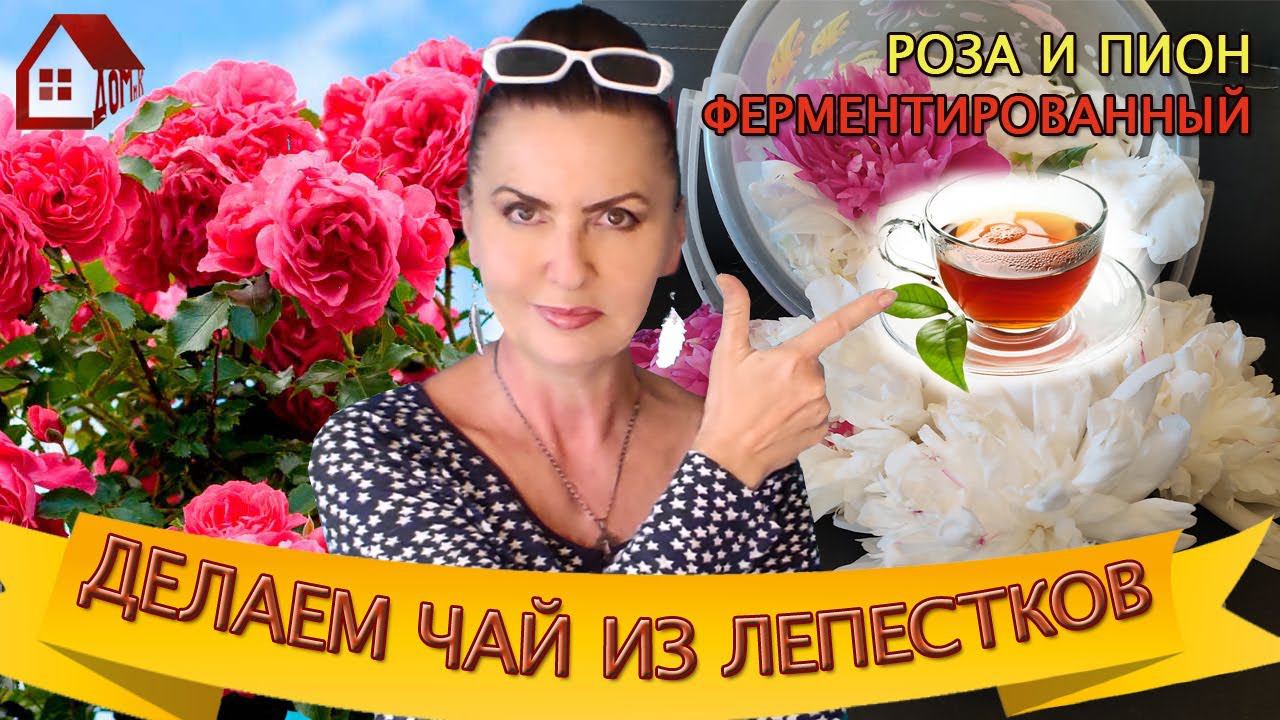 СРОЧНО СДЕЛАЙ! ФЕРМЕНТИРОВАННЫЙ ЧАЙ-простой рецепт из лепестков РОЗЫ и ПИОНА дома! ПОЛЬЗА И ВРЕД