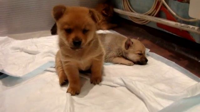 Все дети хотят спать смотреть онлайн