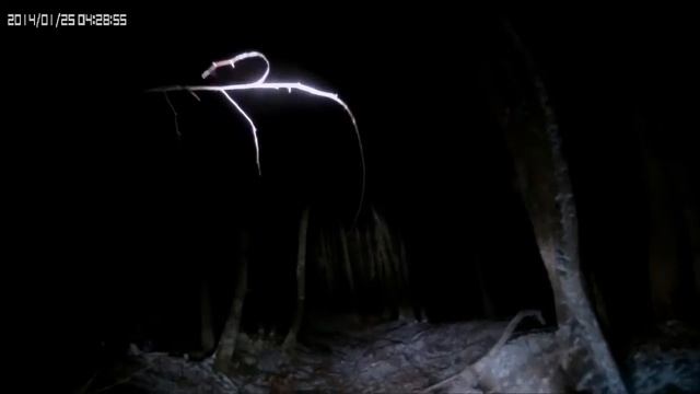 Х Крым 4х4 Christmas Trophy 2014 смотреть онлайн