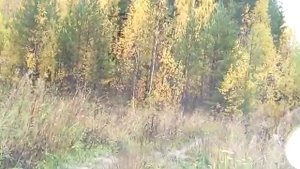Пежо 4007 на грязи