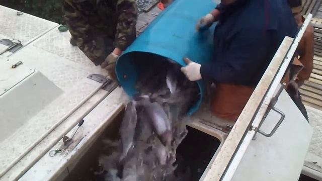 В дорогу.mp4 смотреть онлайн