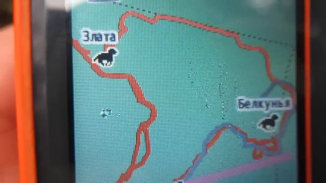 Белкунья и Злата напарники/На охоте/ смотреть онлайн