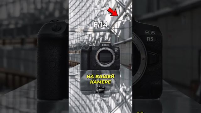 Как Размыть Фон При Съемке? #shorts #short