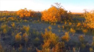 Яхина Эшелон на Самарканд