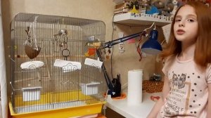 КАК ВЫБРАТЬ КЛЕТКУ ДЛЯ ПОПУГАЛЯ? | КЛЕТКА ДЛЯ ПОПУГАЯ