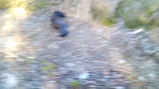 Петля на глухаря смотреть онлайн