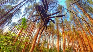 Дом бабушки Аушки на тропе сказок в Великом Устюге.m4v