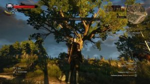The Witcher 3: Wild Hunt После Патча 4.0 На PS4 ЧТО ДОБАВИЛИ? PlayStation 4 Ps4 slim PATCH 4.0