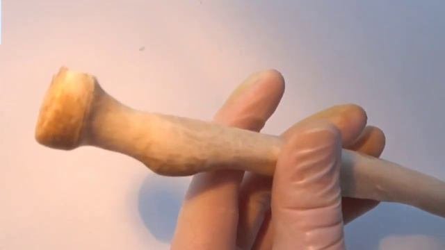 лучевая кость#анатомиячеловека #1курс #urolog