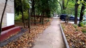 Сокол-сапсан поймал ворону