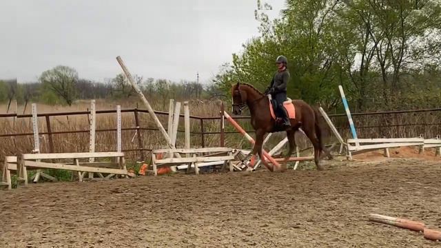 Восторг рам пам пам смотреть онлайн