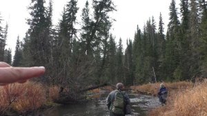 39 серия Тайга река Даугли у Геологическая дорога Рыбалка Клева нет Торопимся Удочка Балда