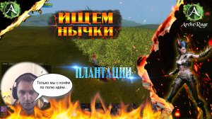 ARCHERAGE.to | НЫЧКИ | КАК НАХОДИТЬ