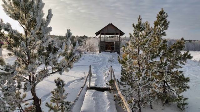 Акколь - Зимний лес - Рассвет