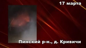 101. Пинский район: в Кривичах дотла сгорела хозпостройка