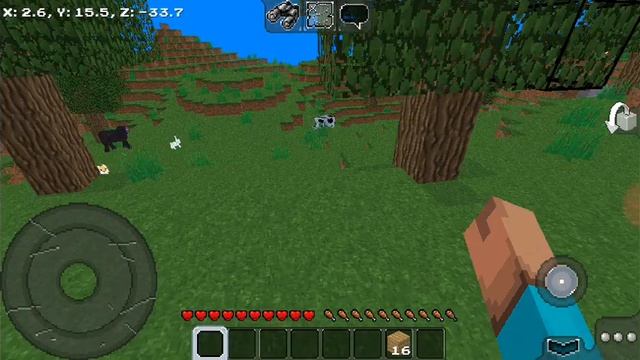 Обзор на игру MultiCraft