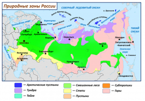 природ леса