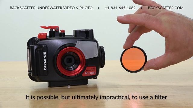 Olympus TG-6 | Best Underwater Camera Settings | Part 4 - Video Settings смотреть онлайн