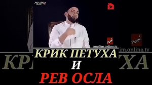 Крик петуха и рев осла