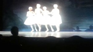 Tанец Маленьких Лебедей в исполнении мужского балета (four little swans dance performed by men)