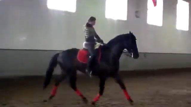 Сабуренко Настя на Гвидоне.MP4 смотреть онлайн