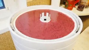 Пастила фруктово-ягодная с натуральным йогуртом своими руками.