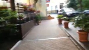 Территория гостиницы "Чайка" в Гурзуфе